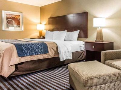 Hotel Comfort Inn & Suites Ballpark Area - Bild 3