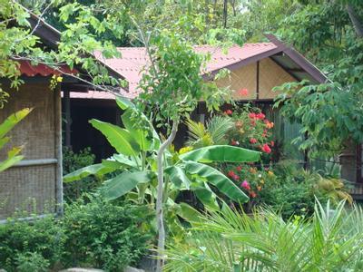 Hotel Tropical Garden Lounge - Bild 2
