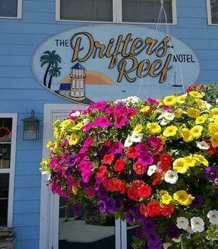 Hotel Drifters Reef Motel - Bild 1