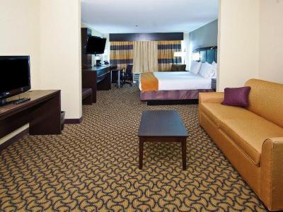 Holiday Inn Express Hotel & Suites Jackson / Pearl International Airport - Bild 5