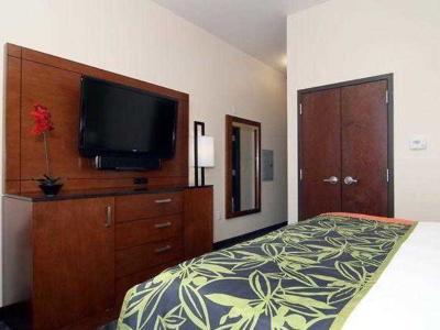 Hotel Fairfield Inn & Suites Alamogordo - Bild 3