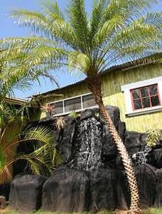 Hotel Nalu Kai Lodge - Bild 2