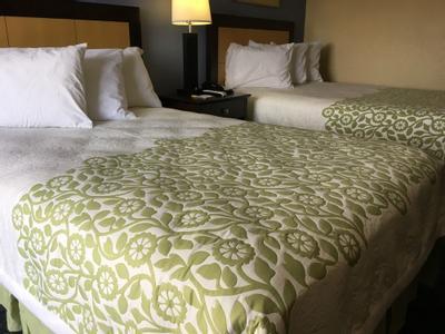 Hotel Days Inn & Suites by Wyndham Tampa near Ybor City - Bild 4