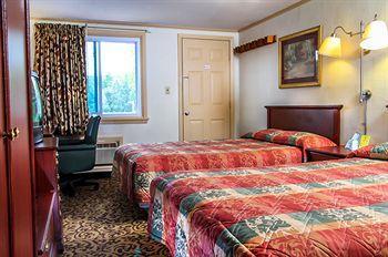 Hotel The Happy Bear Motel - Bild 5