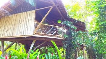 Hotel 3 Bamboo Lodge - Bild 3