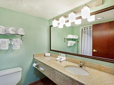 Hotel Holiday Inn Express & Suites Greenville-Spartanburg (Duncan) - Bild 3