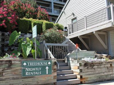 Treehouse Condo Rentals