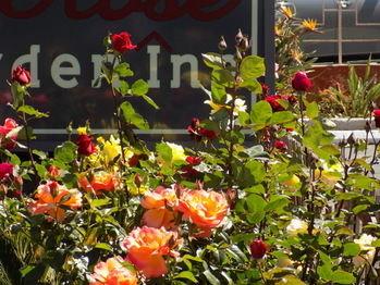 Rose Garden Inn - Santa Barbara