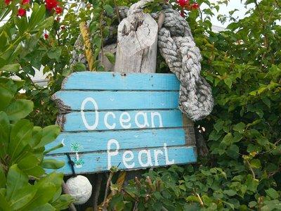 Ocean Pearl Bonefishing Resort