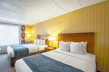 Hotel Comfort Inn Arlington Boulevard - Bild 5
