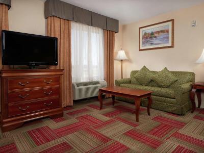Hotel Hampton Inn & Suites Roswell - Bild 2