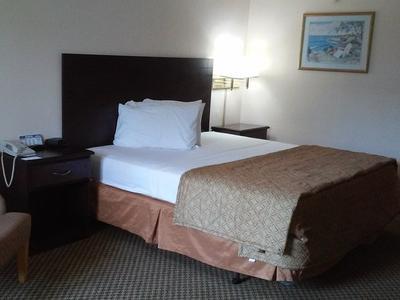 Hotel Vista Inn & Suites Tampa - Bild 5