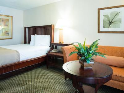 Hotel Vista Inn & Suites Tampa - Bild 4