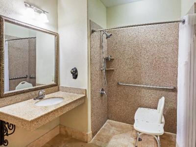 Hotel Holiday Inn Express & Suites Lafayette-South - Bild 4