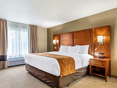Hotel Comfort Suites Grand Rapids North - Bild 2