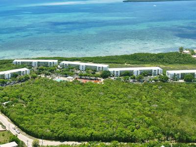 Hotel Ocean Pointe Suites at Key Largo - Bild 2