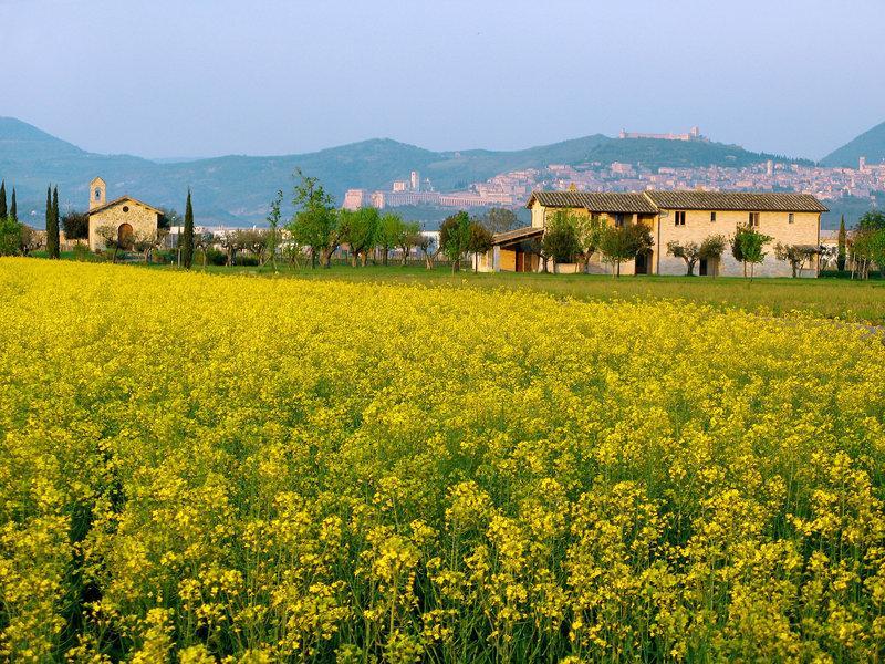 Valle di Assisi Spa & Golf (Foto)