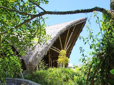 Hotel Munduk Moding Plantation Nature Resort & Spa - Bild 3
