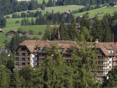 Hotel Park Gstaad - Bild 2