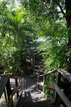 Hotel Kipara Tropical Rainforest Retreat - Bild 1