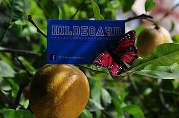 Hildegard Hotel - Bild 4