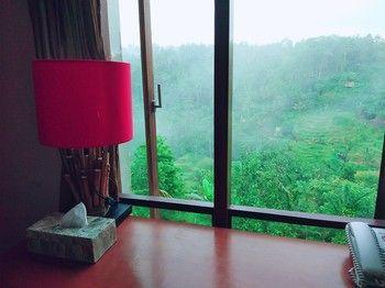 Hotel Ubud Green View Villas - Bild 3
