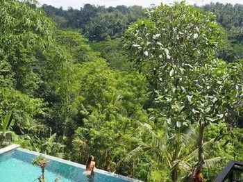 Ubud Green View Villas - Bild 1