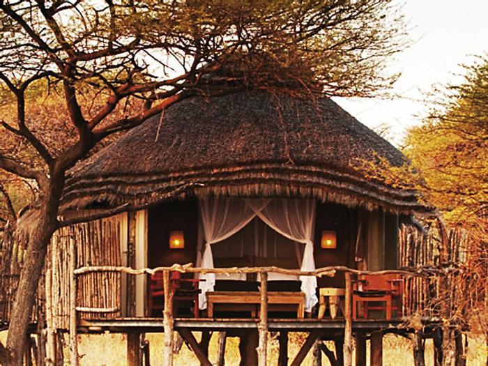 Hotel Onguma Game Reserve - Bild 1