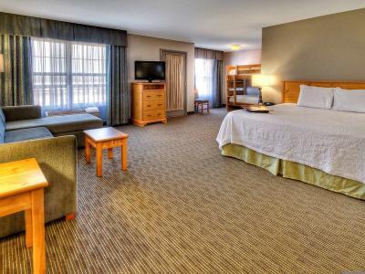 Hotel Hampton Inn & Suites Petoskey - Bild 5