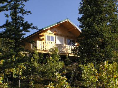 Denali Grizzly Bear Resort - Cedar Hotel/ Cabins/ Camping - Bild 5