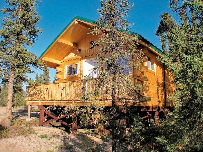 Denali Grizzly Bear Resort - Cedar Hotel/ Cabins/ Camping - Bild 1