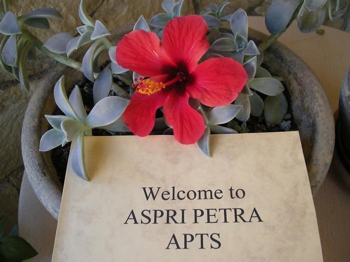 Hotel Aspri Petra - Bild 1