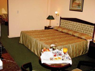 Hotel Gawharet Al Ahram - Bild 4
