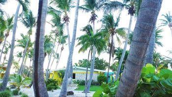 Hotel Bimini Big Game Club Resort & Marina - Bild 4