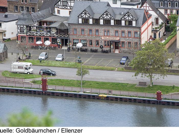 Hotel Ellenzer Goldbäumchen - Bild 1