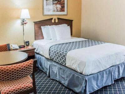 Hotel Econo Lodge Battleboro - Rocky Mount I-95 - Bild 4