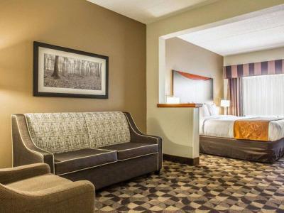 Hotel Comfort Suites at Harbison - Bild 5