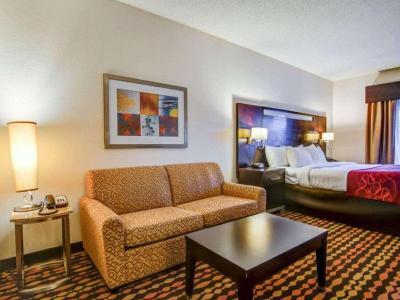 Hotel Comfort Suites Gwinett Medical Center Area - Bild 4
