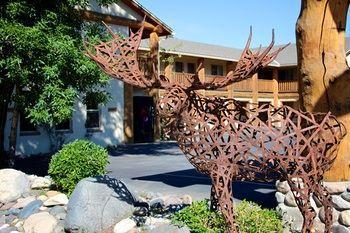 Moose Creek Lodge And Suites - Bild 1