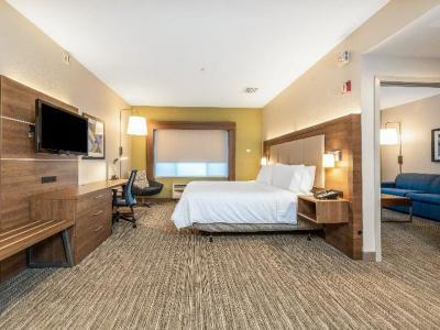 Hotel Holiday Inn Express & Suites Fremont - Milpitas Central - Bild 4