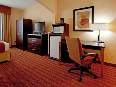Hotel Holiday Inn Express & Suites Greenville Airport - Bild 3