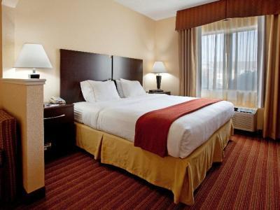 Hotel Holiday Inn Express & Suites Greenville Airport - Bild 5