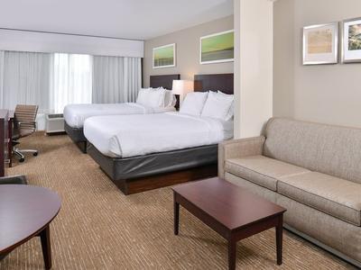 Hotel Holiday Inn Express & Suites Lafayette - Bild 4