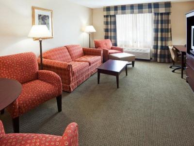 Hotel Holiday Inn Express & Suites Freeport - Brunswick Area - Bild 5