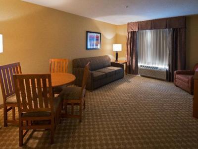 Hotel Holiday Inn Express & Suites Chicago West-Roselle - Bild 5