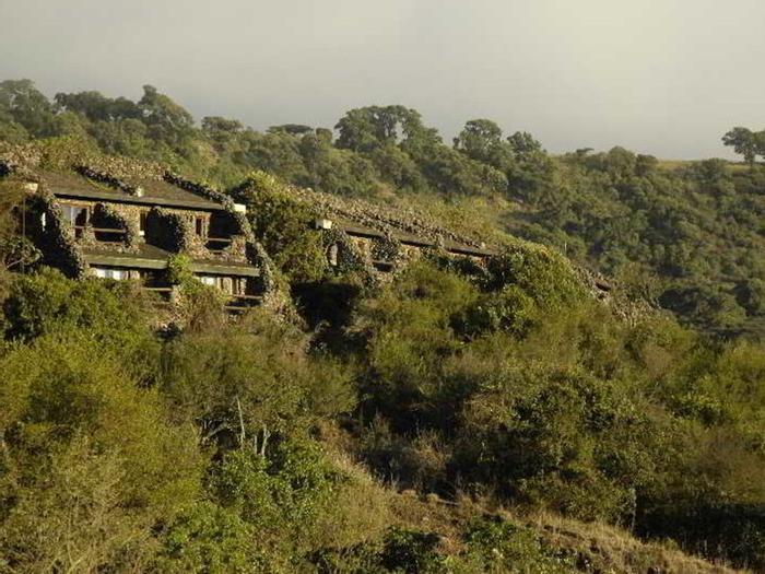 Hotel Ngorongoro Serena Safari Lodge - Bild 1