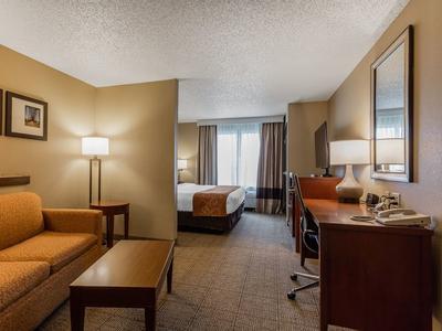 Hotel Comfort Suites Jonesboro University Area - Bild 5