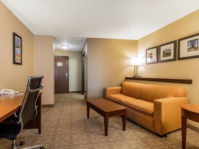 Hotel Comfort Suites Jonesboro University Area - Bild 4