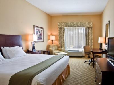 Hotel Holiday Inn Express & Suites Tampa -USF-Busch Gardens - Bild 5