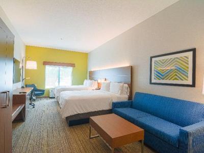 Hotel Holiday Inn Express & Suites Tampa -USF-Busch Gardens - Bild 3